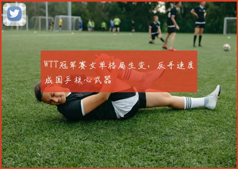 WTT冠军赛女单格局生变,反手速度成国乒核心武器