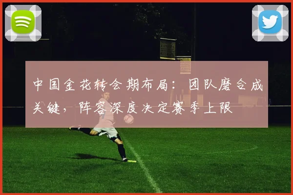 中国金花转会期布局:团队磨合成关键,阵容深度决定赛季上限
