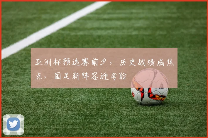 亚洲杯预选赛前夕,历史战绩成焦点,国足新阵容迎考验