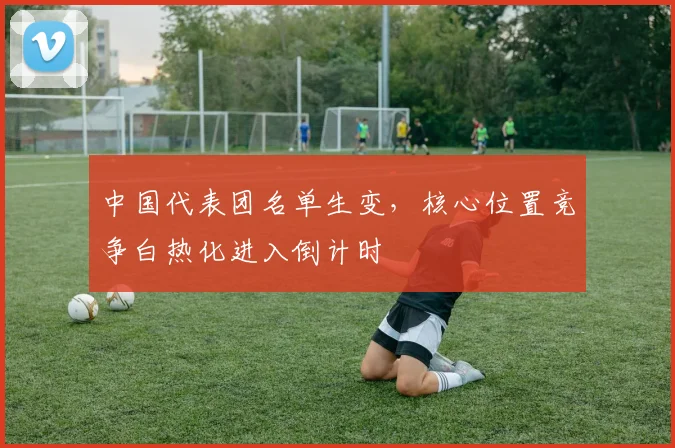 中国代表团名单生变,核心位置竞争白热化进入倒计时