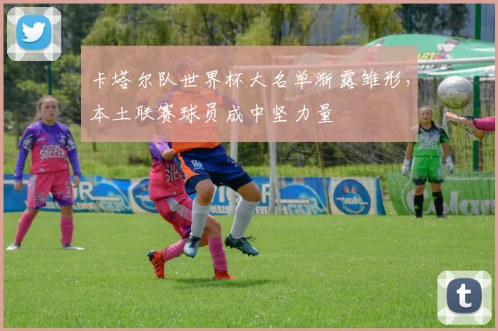 卡塔尔队世界杯大名单渐露雏形，本土联赛球员成中坚力量